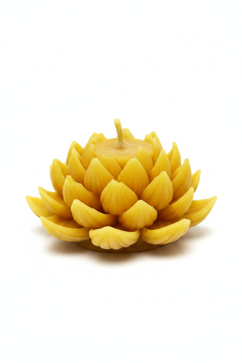 Bougie lotus cire d'abeille fond blanc