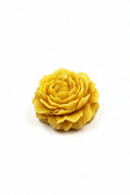 Bougie pivoine cire d'abeille fond blanc